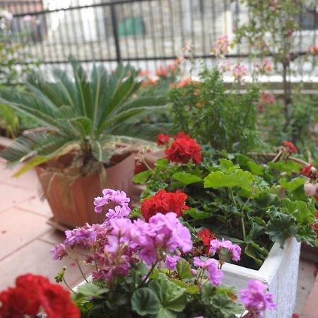 Sea View Apartments Poseidon Leptokarya  Dış mekan fotoğraf