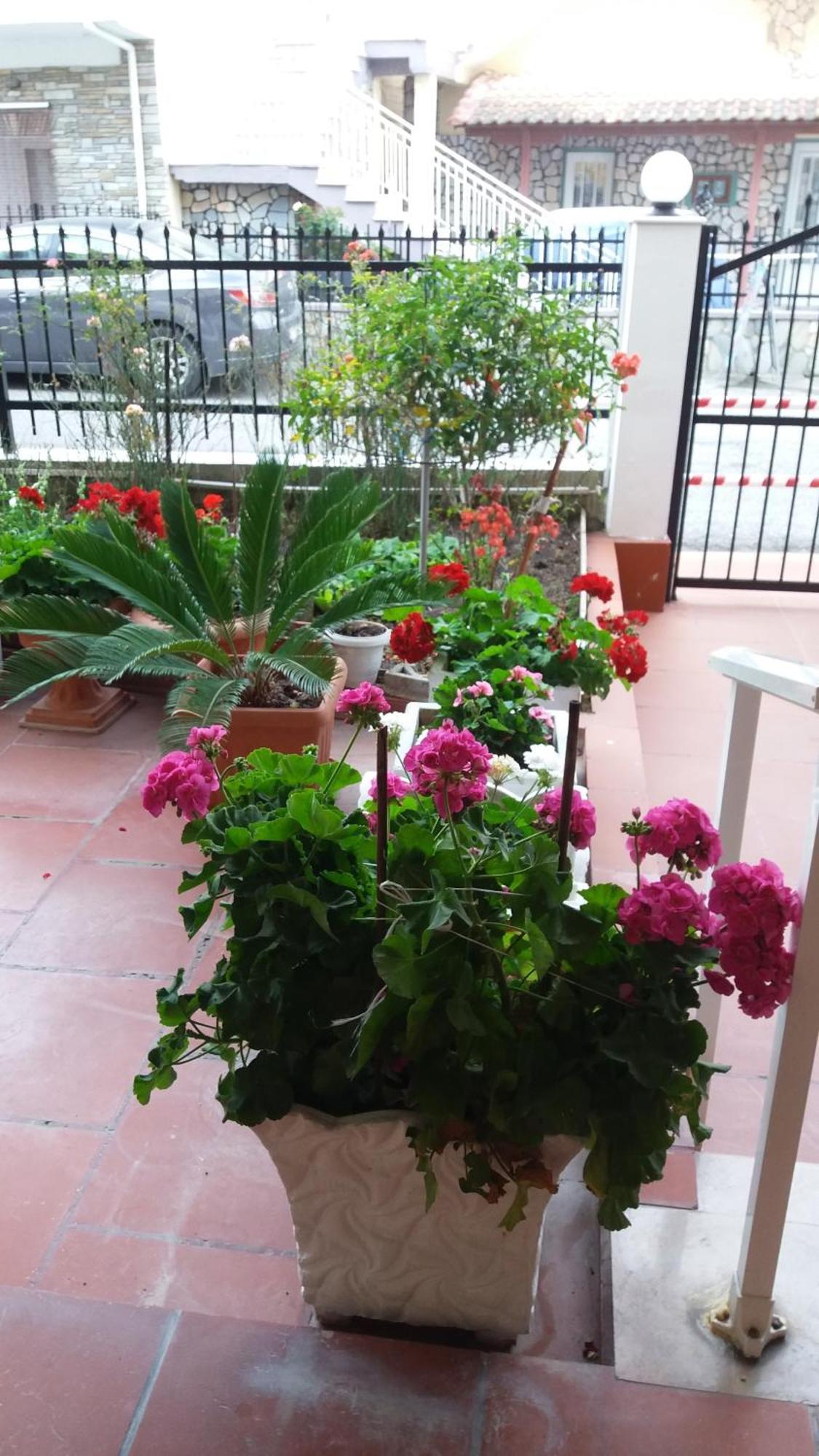 Sea View Apartments Poseidon Leptokarya  Dış mekan fotoğraf